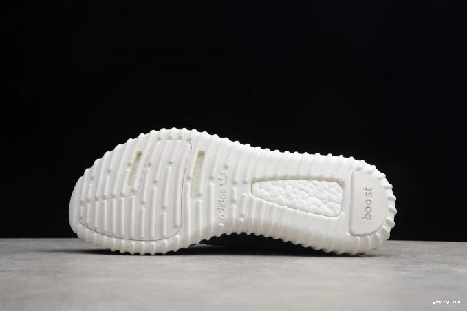 350 AQ4832 Adidas Dove Turtle YEEZY Boost 0826
